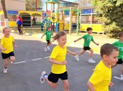 img (1)